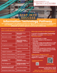 Information technology pathway